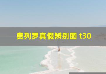 费列罗真假辨别图 t30